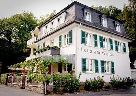 Pension "Haus Am Walde" Brodenbach, Mosel Exterior photo