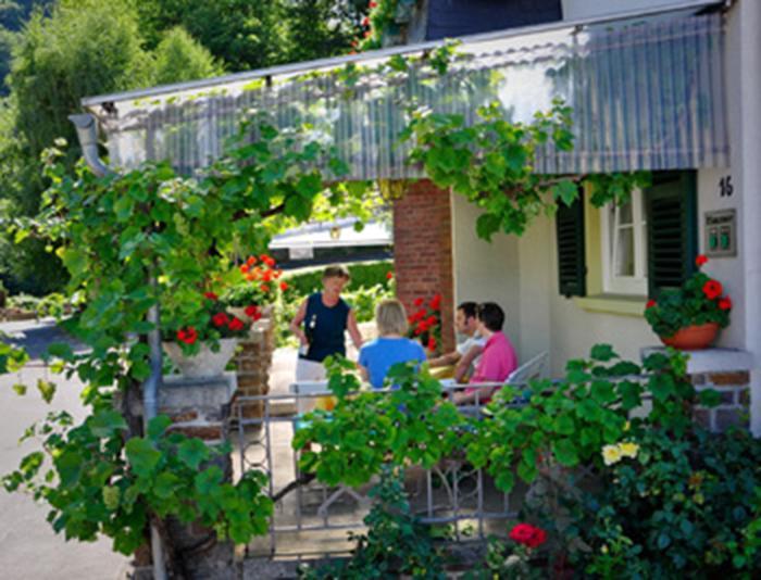 Pension "Haus Am Walde" Brodenbach, Mosel Exterior photo