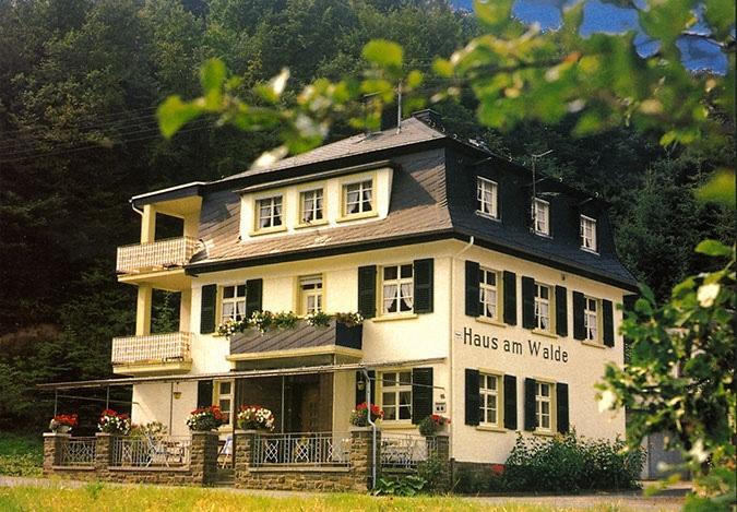 Pension "Haus Am Walde" Brodenbach, Mosel Exterior photo